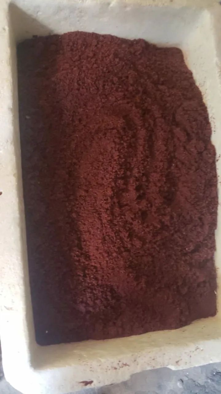 60kg de Substrato Terra Cota específico para aquário