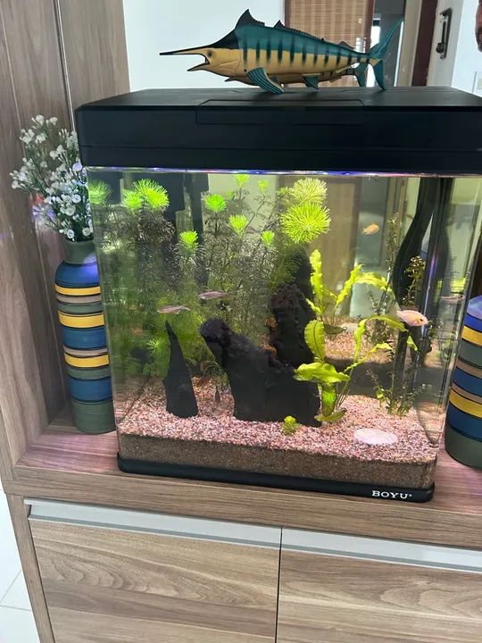 Aquário Boyu 33L com acessórios