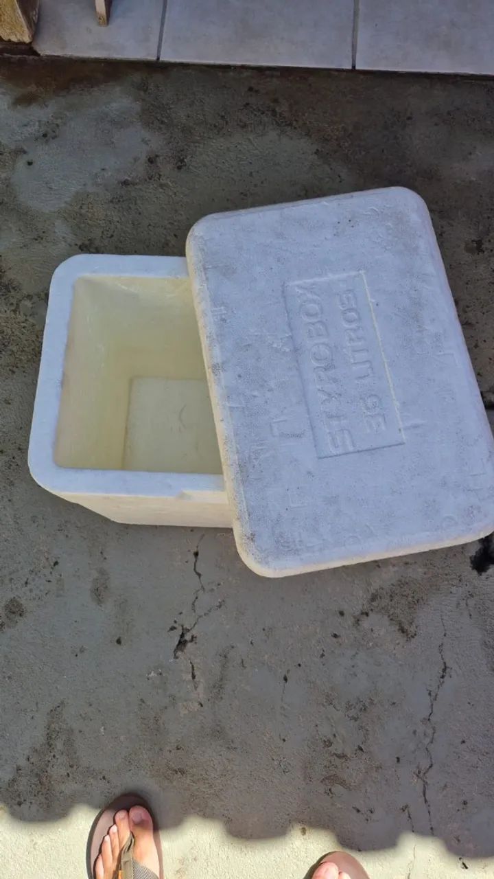 Kit Coolers e Isopor - Foto 4
