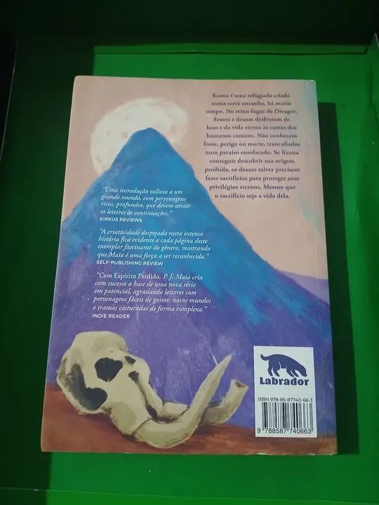 Livro Espirito Perdido - Foto 2