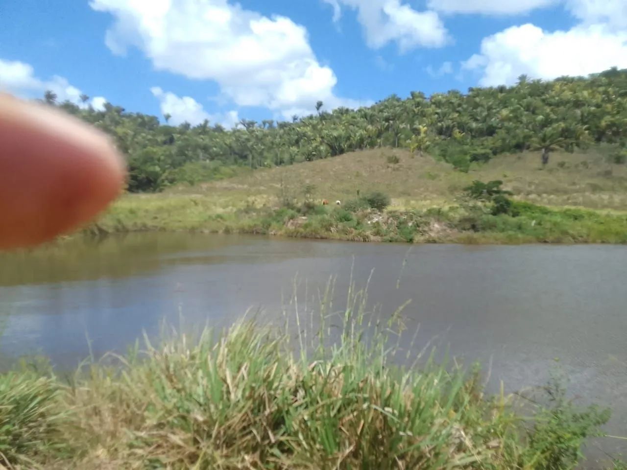 Sitio em Flexeira 