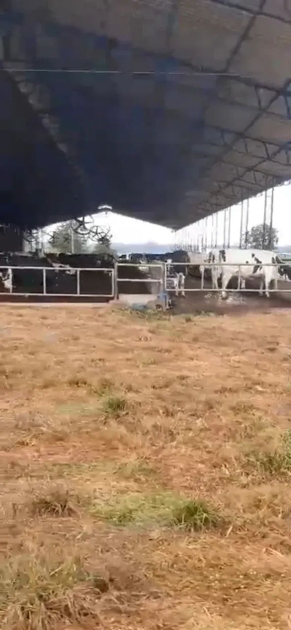 Fazenda a venda em Lagamar - Minas Gerais! - Foto 5