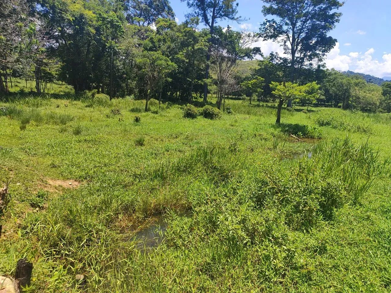 TERRENO 40.000m² Cachoeiras de Macacu - Foto 2