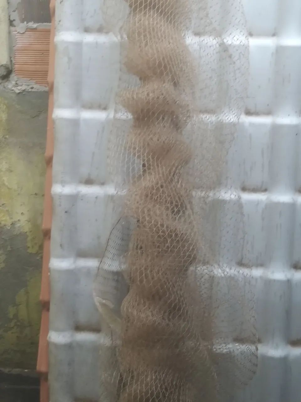 Rede de pesca,,,arrastão.. usada uma vez