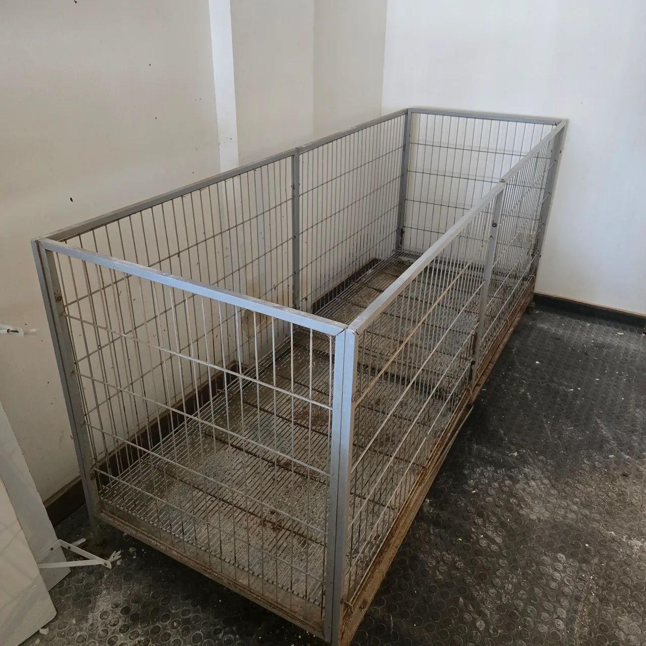 Corredeira para colocar filhotes - Foto 2