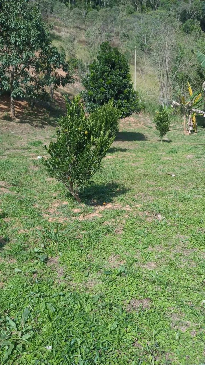 Sitio em Domingos martins 300mil - Foto 4