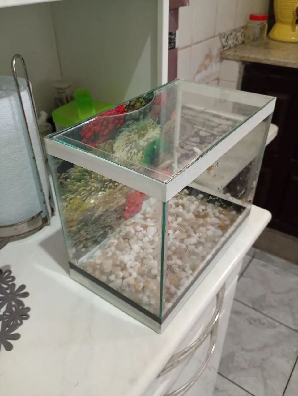 Aquario  - Foto 2