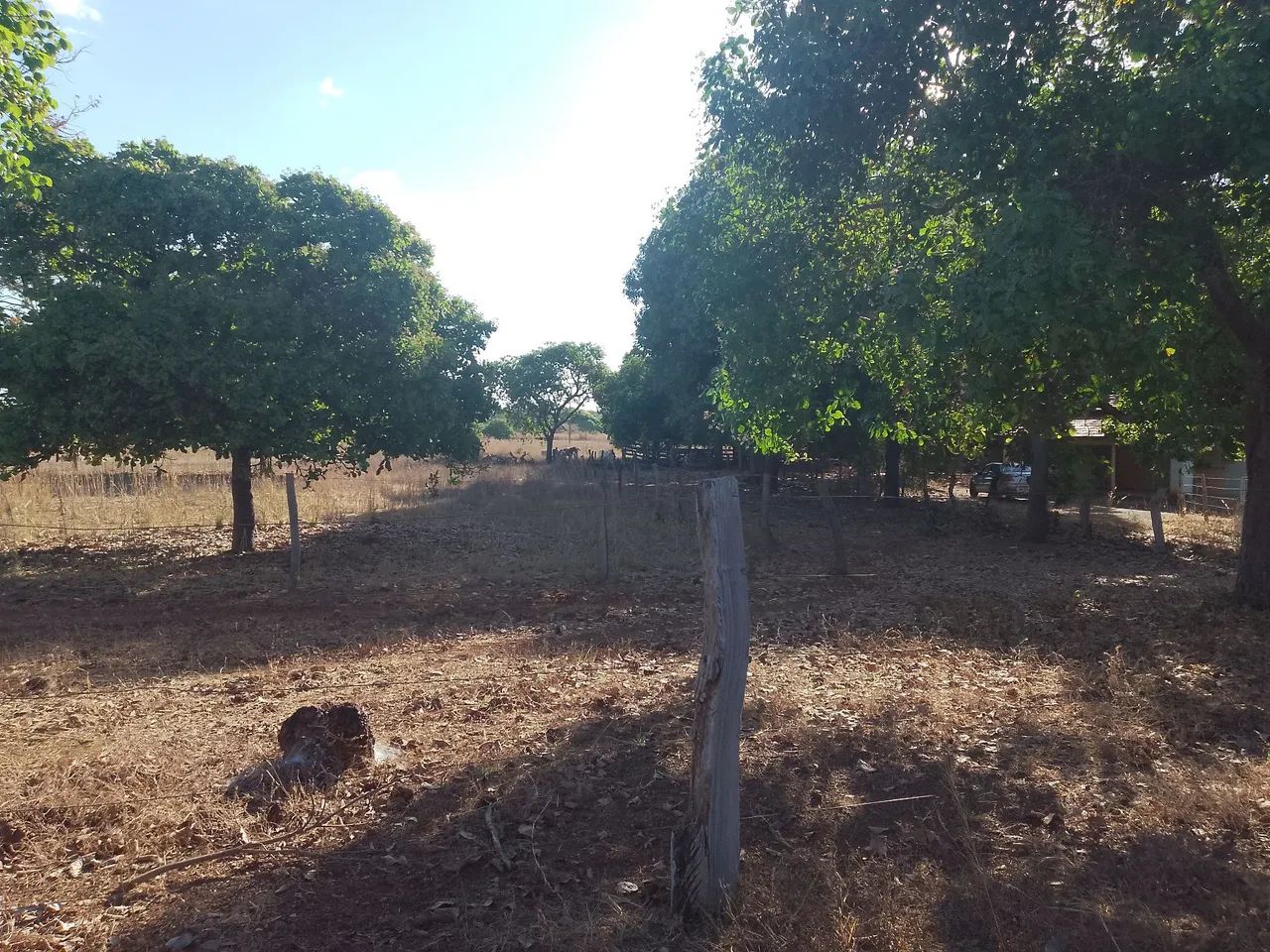 Vendo Sítio 24,2 Hectares   - Foto 2
