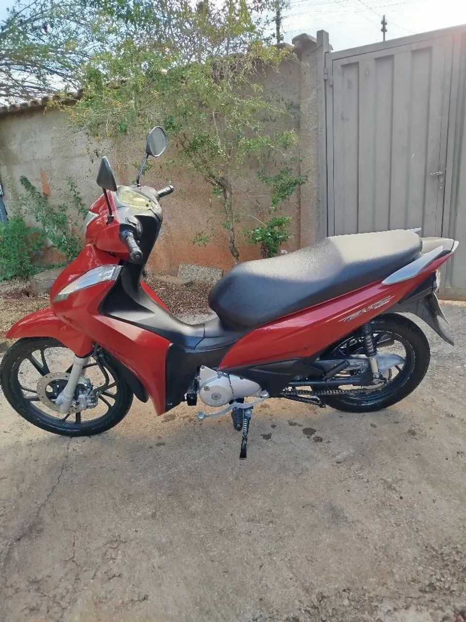 Única dona  - Foto 5