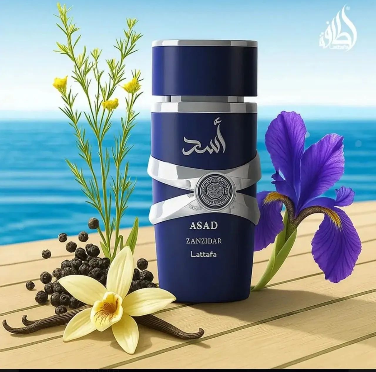 Zanzibar Assad lattafa masculino perfume 