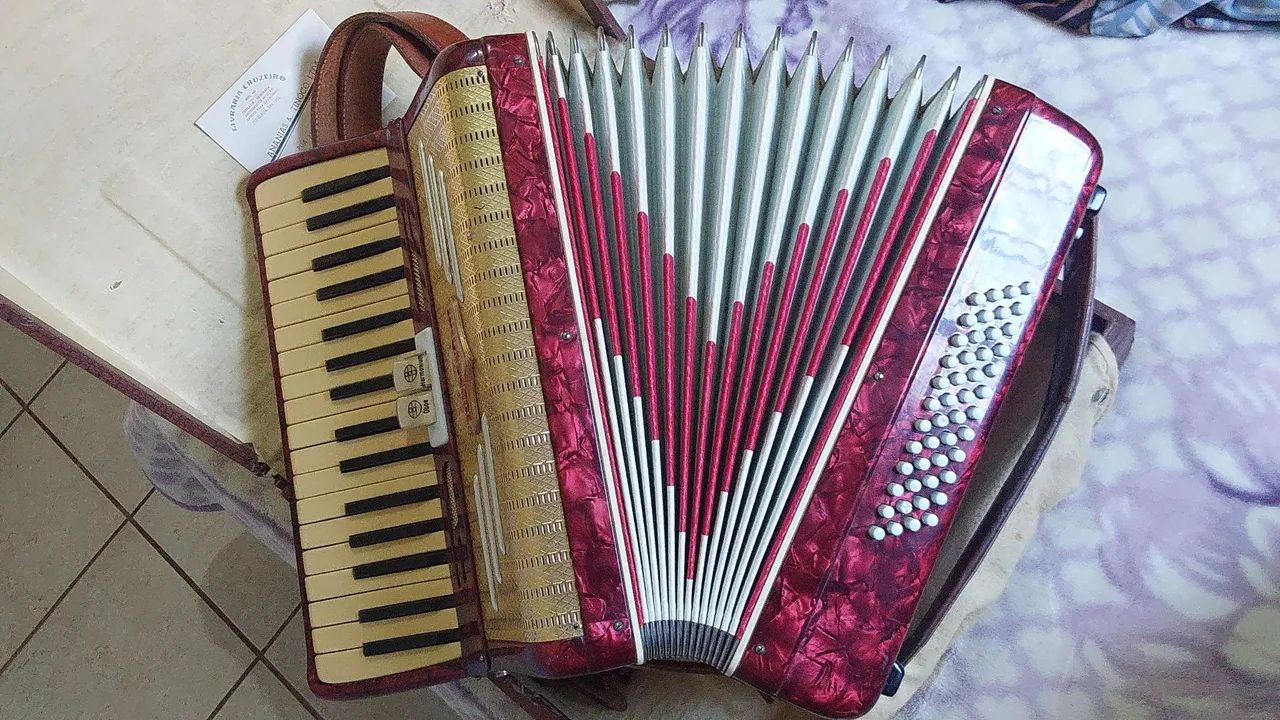 Acordeon Todeschini 48 baixos