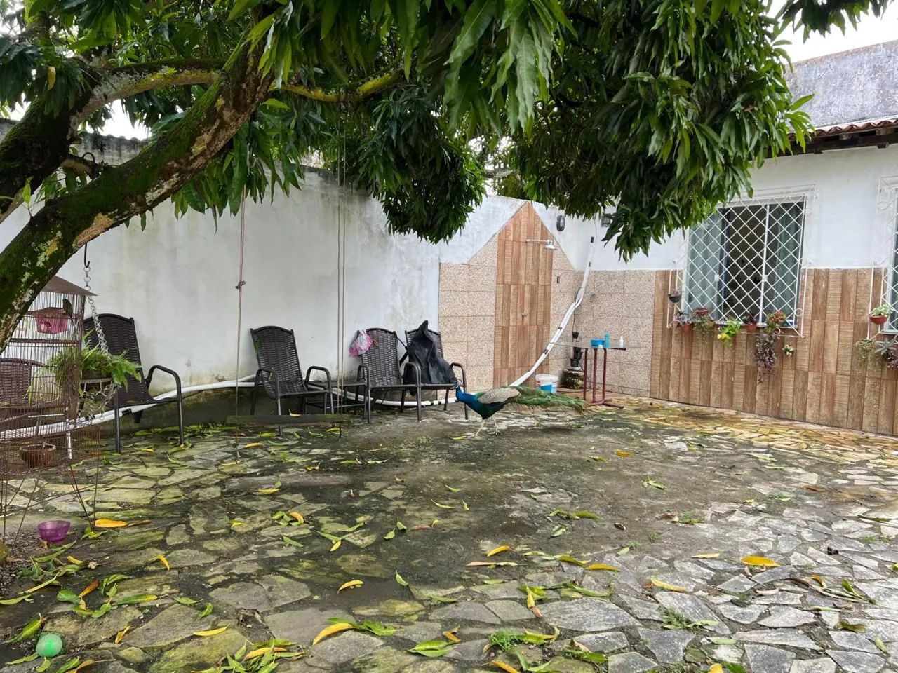 CASA NO BAIRRO SUÍSSA / AV. EXPLOSÃO-2 - Foto 4