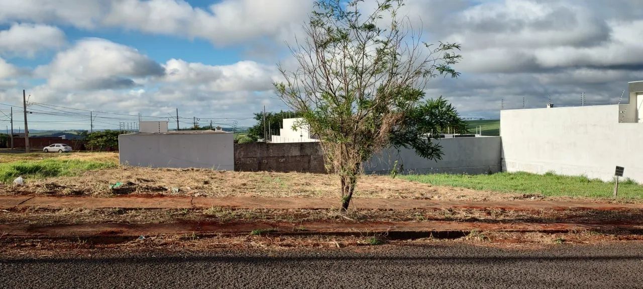 Terreno Jd Espanha  - Foto 3