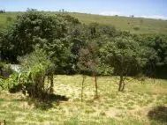 072-A = TERRENO/CONDOMÍNIO CAPELA DO BARREIRO - Foto 3