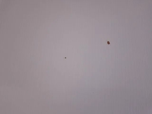 Escrivania  mesa para estudos, com pés de madeira maciça  - Foto 4