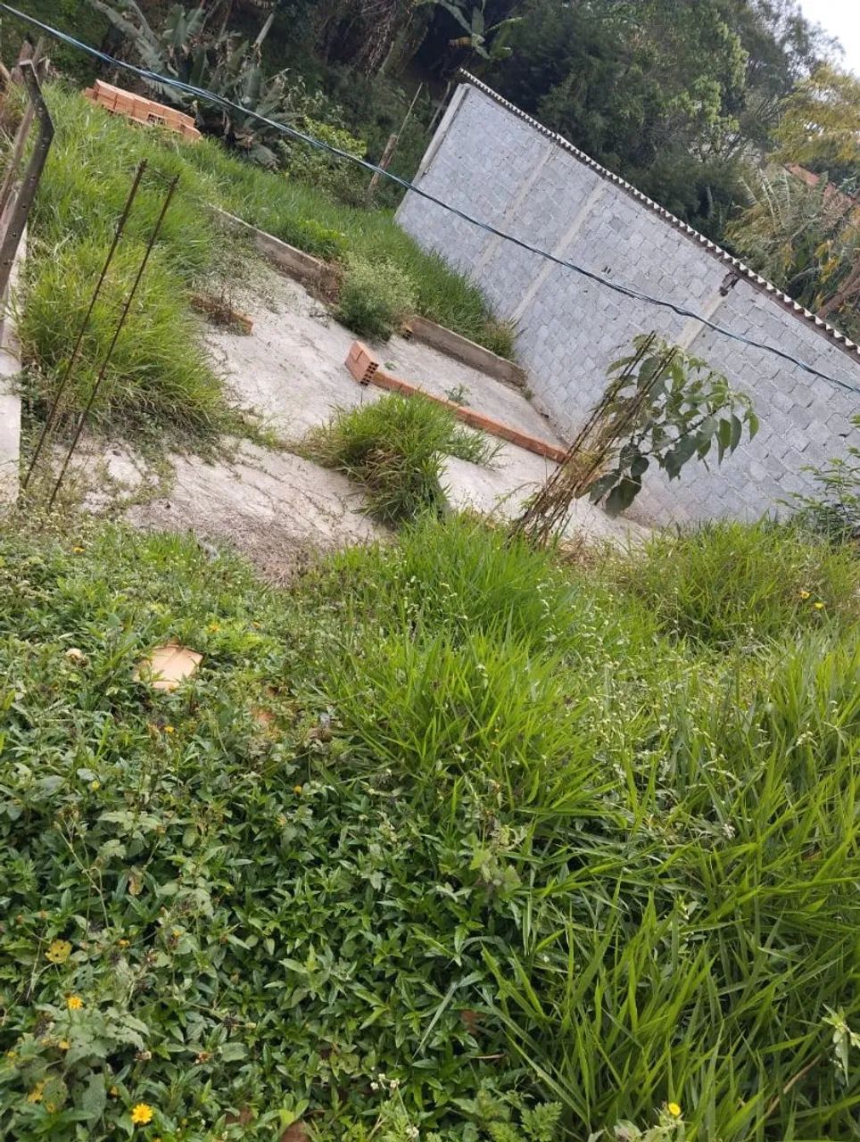 VENDE-SE ESSE TERRENO  - Foto 5