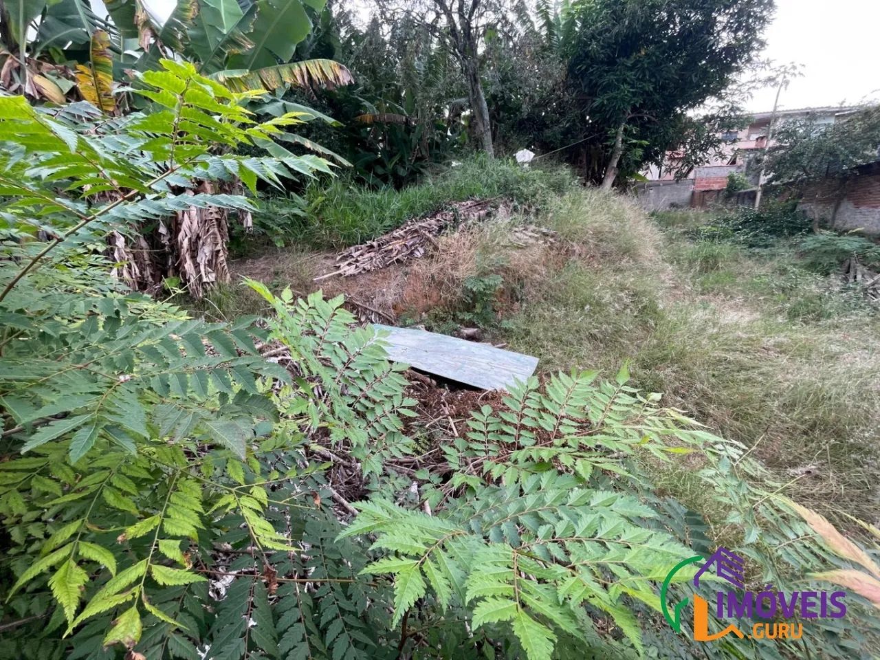 TERRENO - JARDIM DAS INDÚSTRIAS - SP - Foto 2