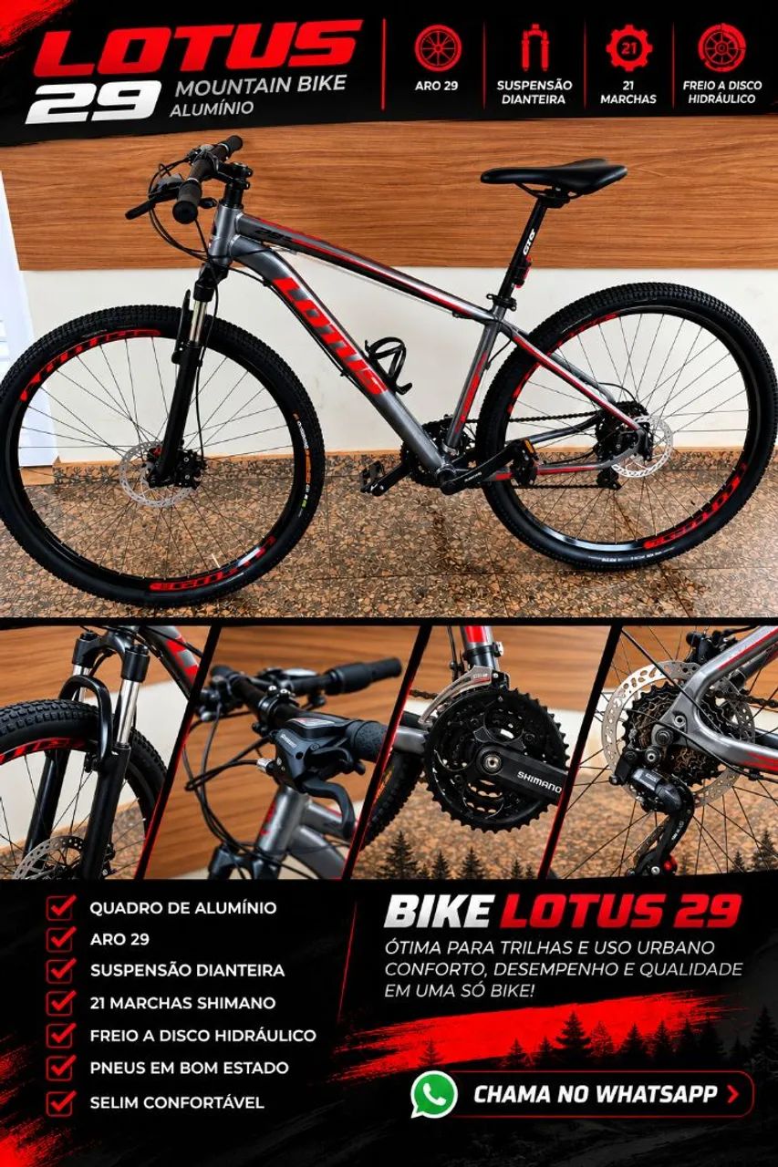 BIKE aro 29