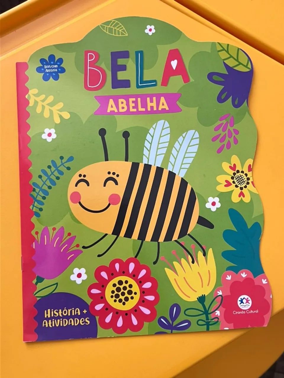 Livro Bela abelha
