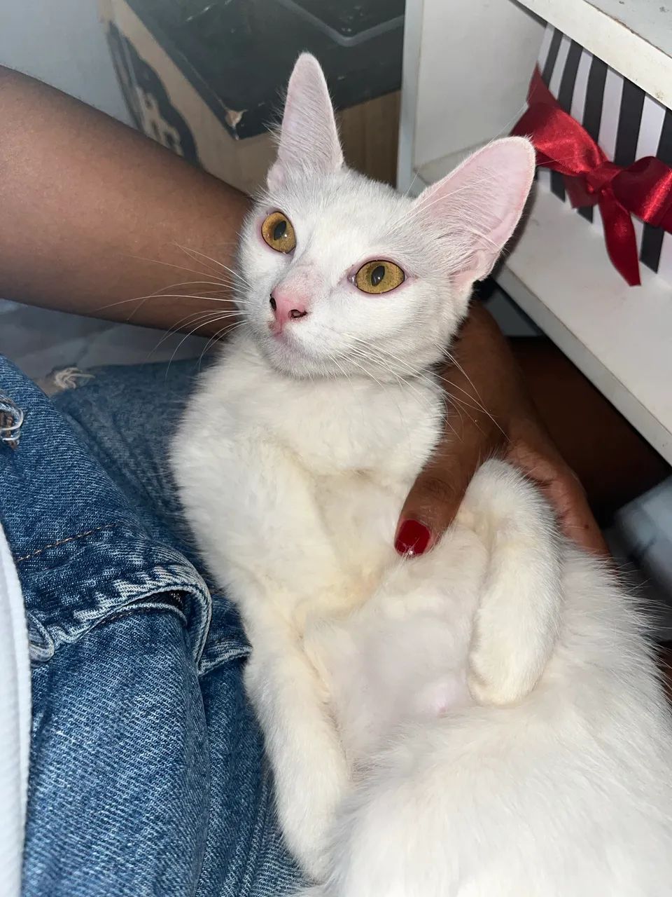 Procuro um namorado  - Foto 4