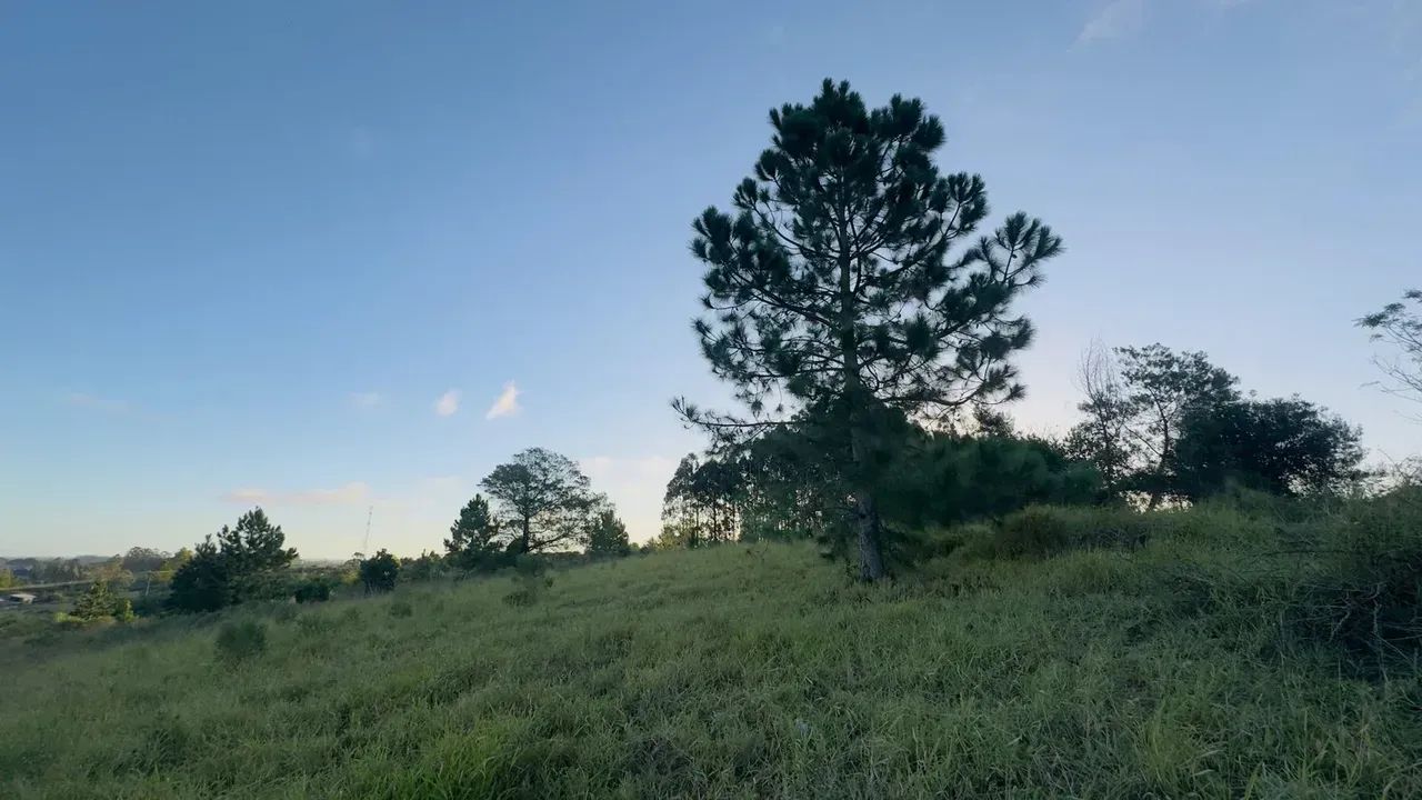 Belo terreno em Águas Claras, aceita 7 mil de entrada, com vista panorâmica - Foto 5