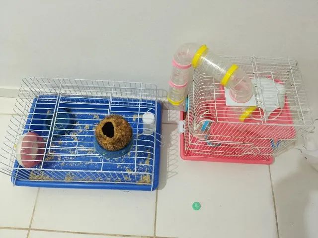 Duas (2) Gaiola para hamster ou porquinho da índia   - Foto 5