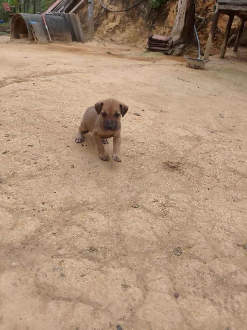 Doação  - Foto 4