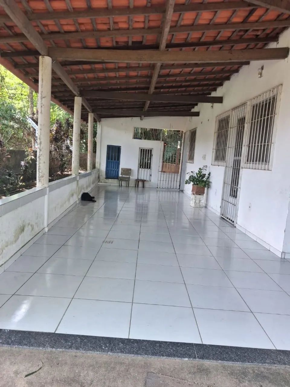 Vendo Sítio na Estiva - Foto 4