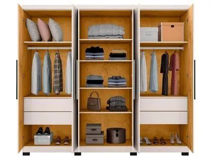 Guarda Roupa Braga - Foto 4