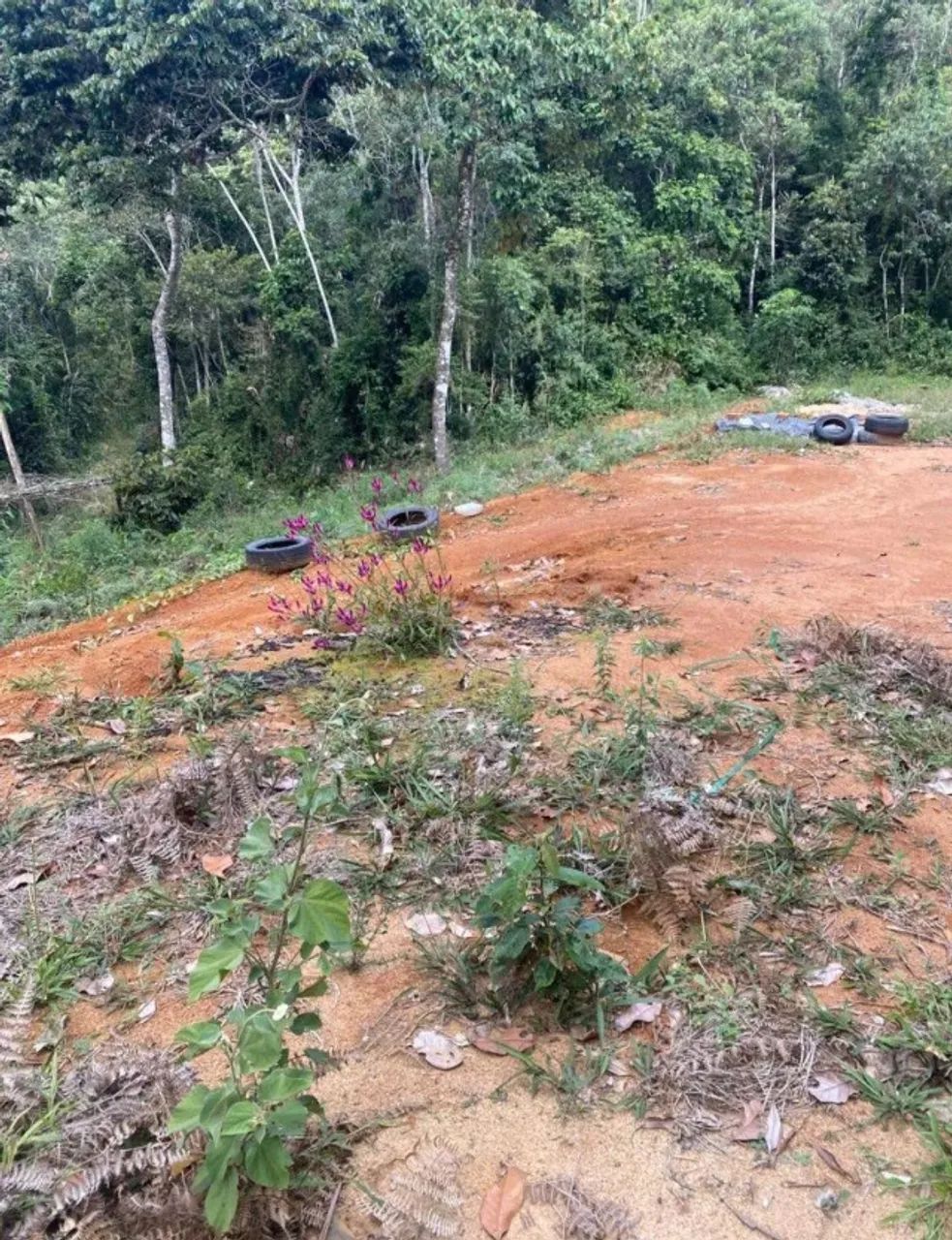 20 mil metros água de nascente  - Foto 4