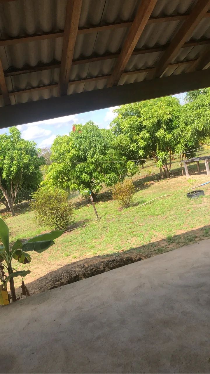 Vende-se ou troca sítio na região do Bom Intento  - Foto 3