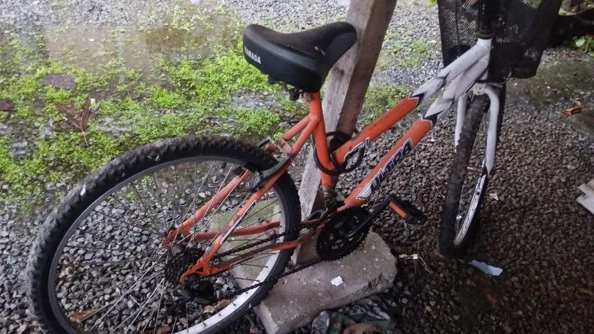 BICICLETA - Foto 2