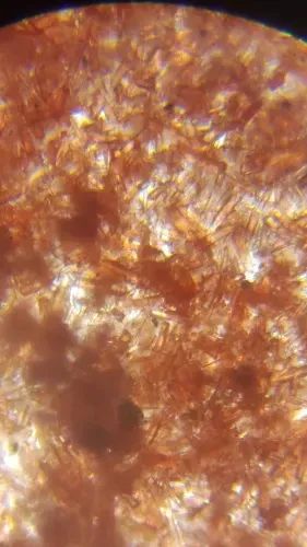 Microscópio monocular 2400X - Foto 5