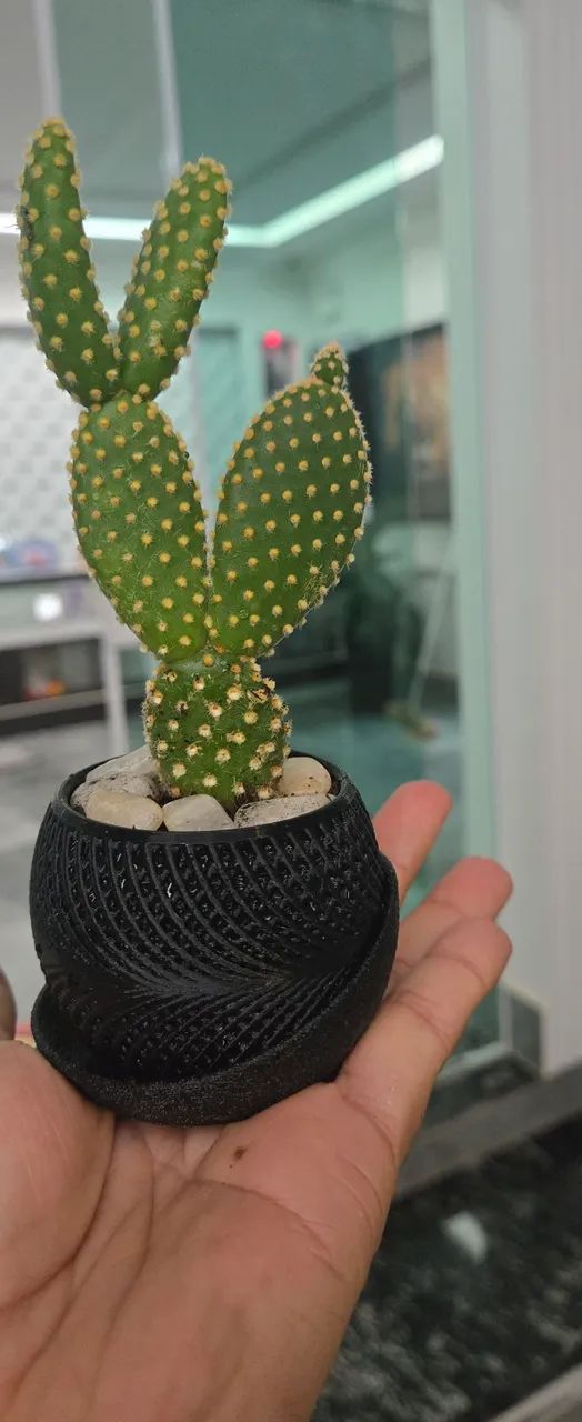 Mini vaso moderno com cacto e suculentas  - Foto 3