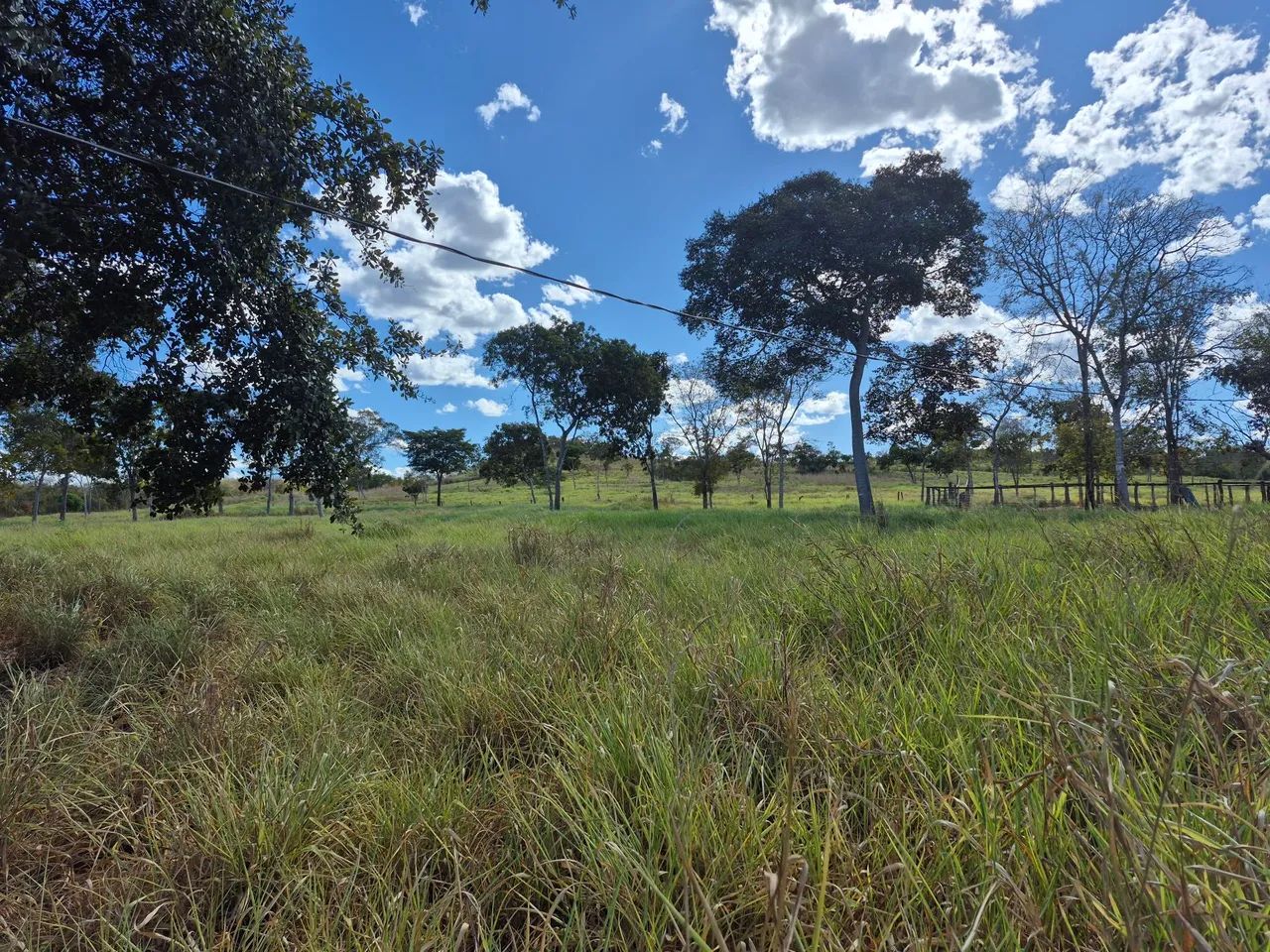 Fazenda beira do Rio Palmas Paranã to 5 alqueires - Foto 3