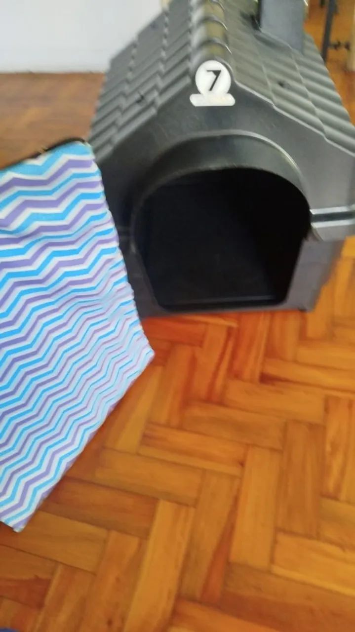 Casinha - Foto 2