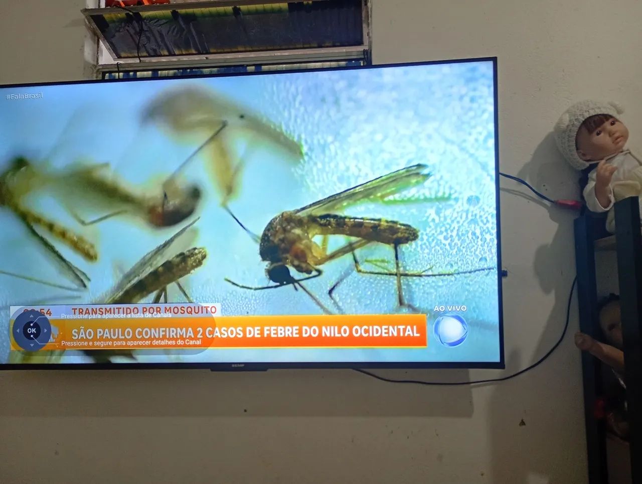 Tv TCL 65 polegadas  nota fiscal  - Foto 3