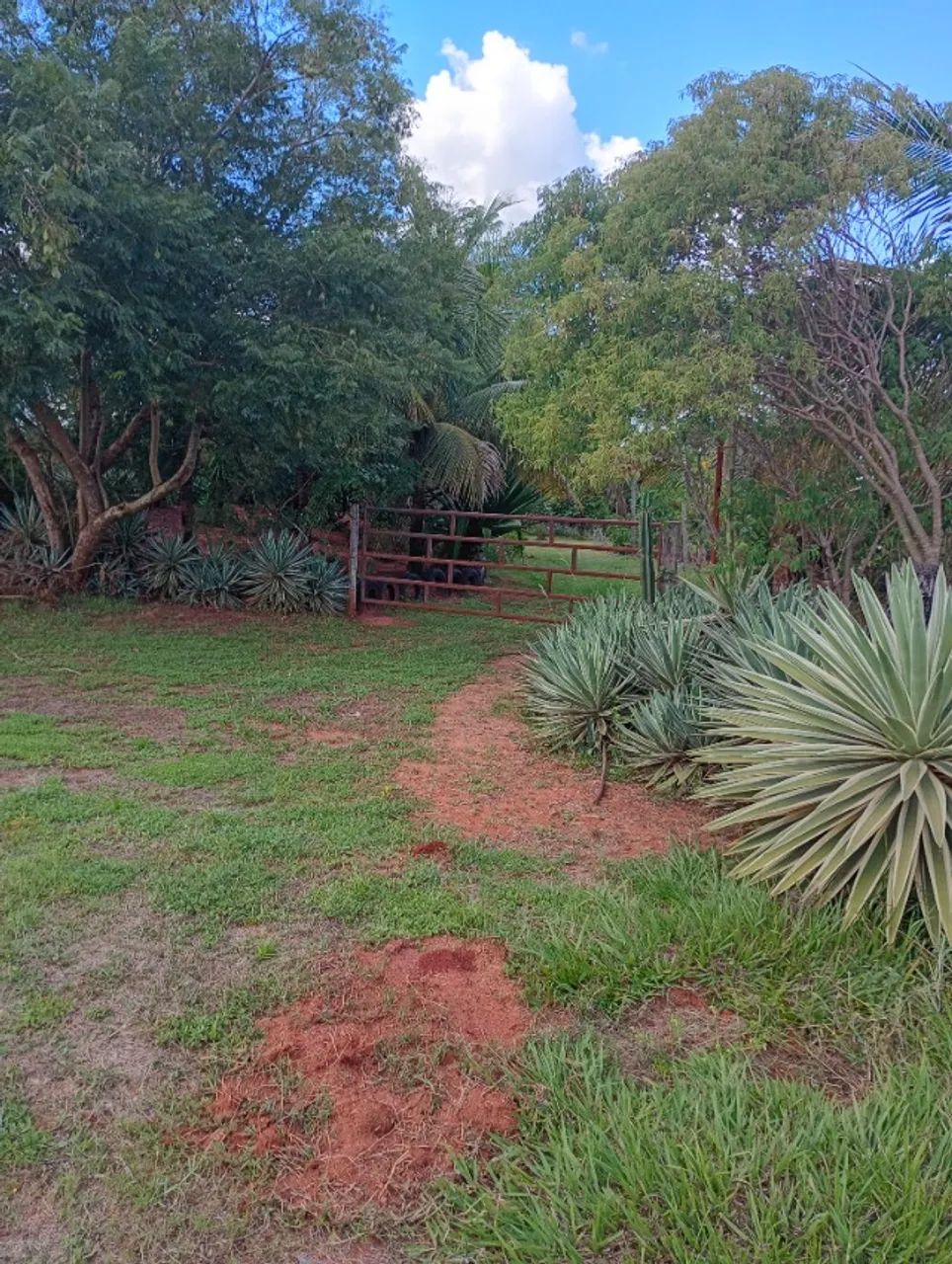 sítio a venda em Mirandópolis sp