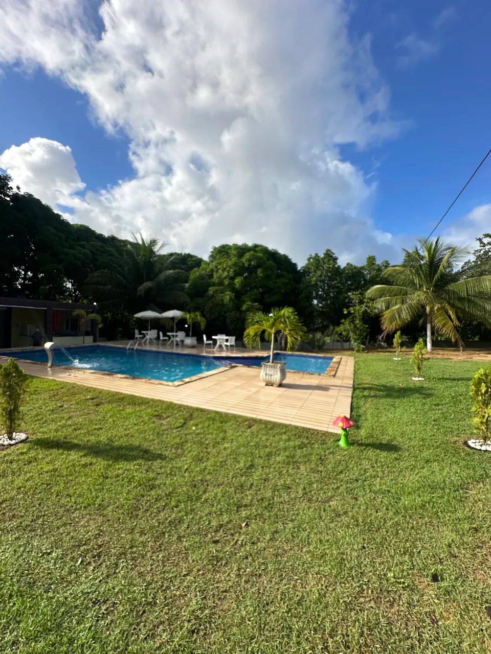 Foto - Recife - Boa Vista