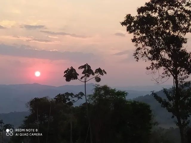 Foto - Campinas - Swiss Park