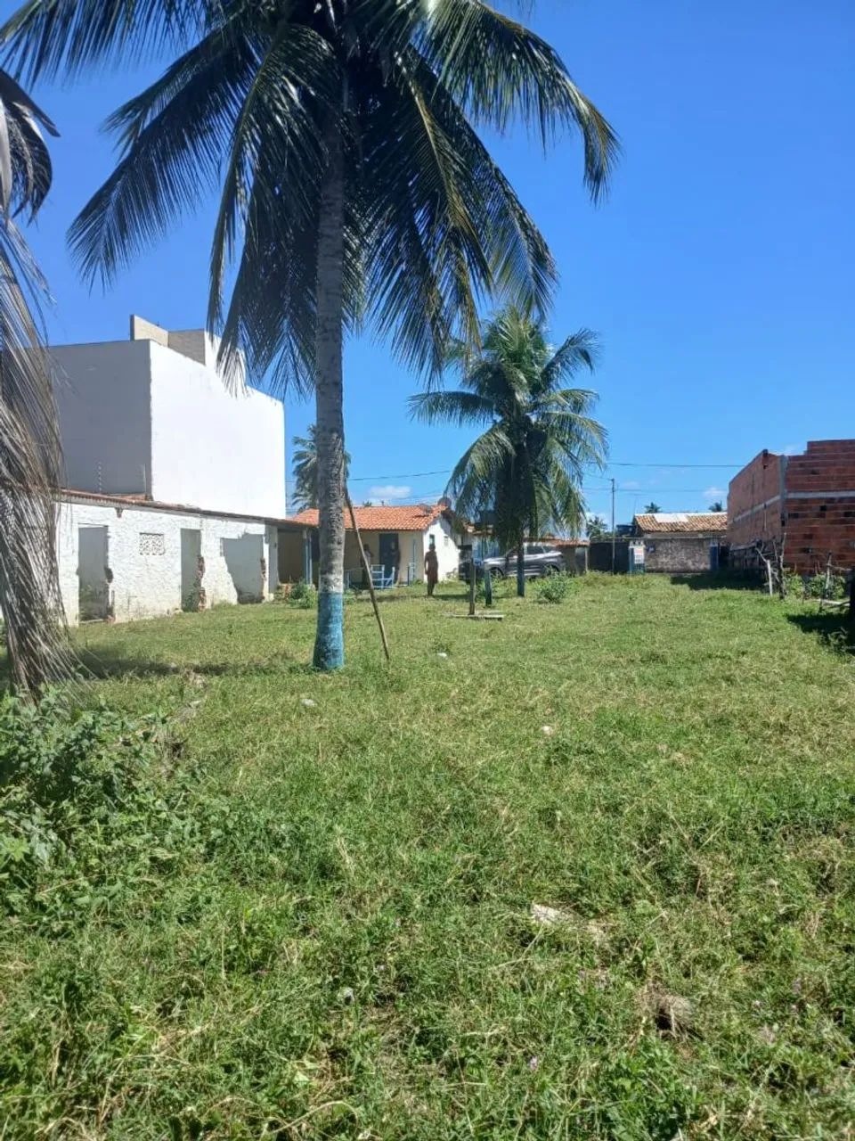 Sítio  - Foto 5