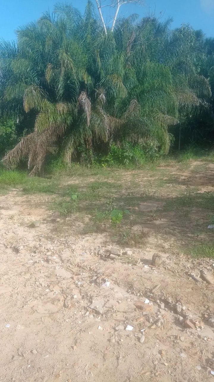 Vendo terreno 10×25  - Foto 5