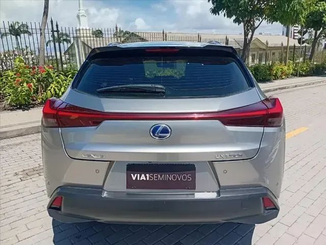 Lexus UX-250h Luxury 2.0 16V Aut.(hybrid), foto 4 de 14
