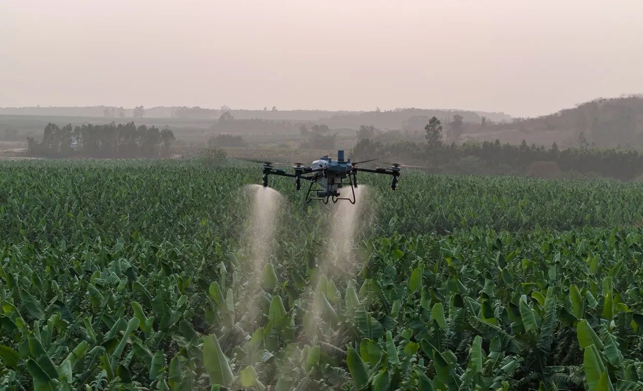 DRONE AGRÍCOLA - PULVERIZAÇÃO E ADUBAÇÃO  - Foto 5