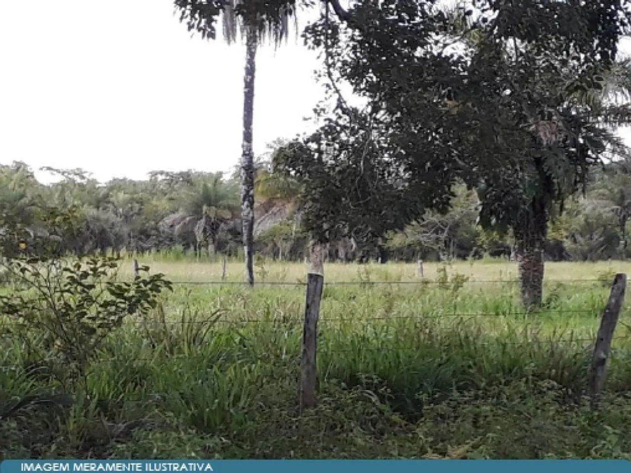 Imóvel Rural 37 ha (Chácara) - Araguatins - TO - Foto 3