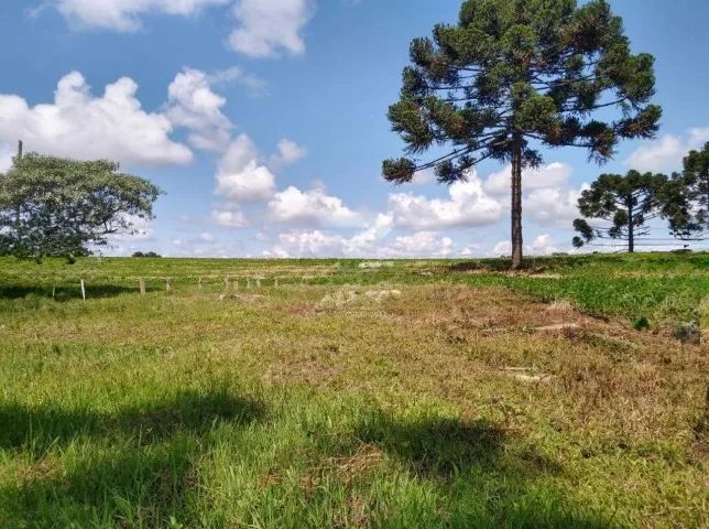 Terreno Rural - Caçador/SC 