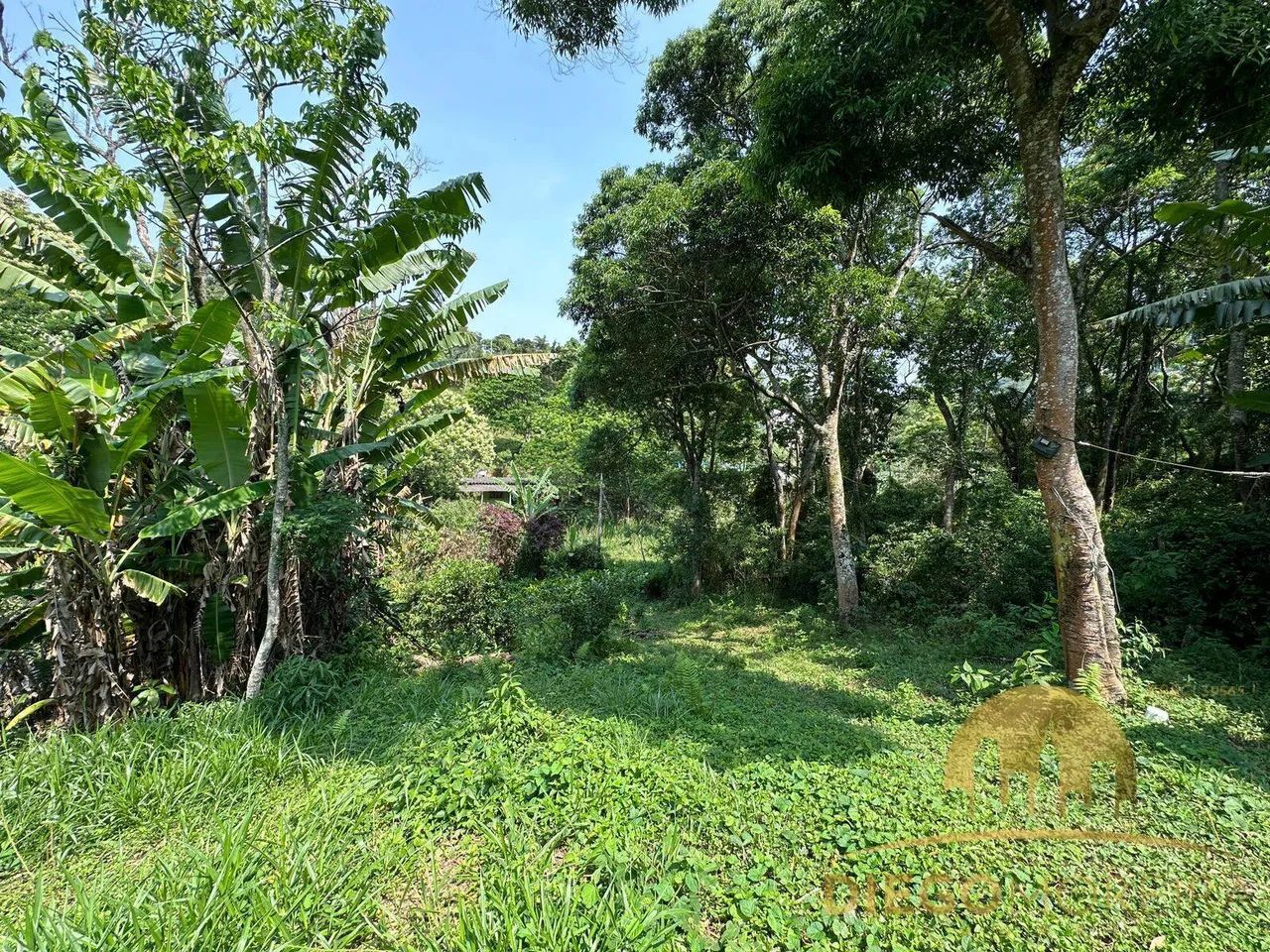 Terreno com casa simples à venda em Mairiporã - Foto 2