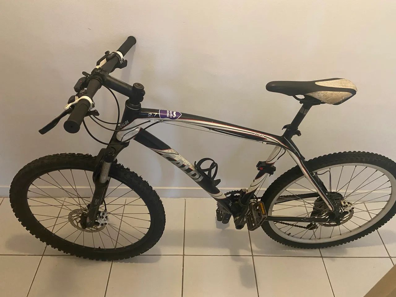 Bicicleta 
