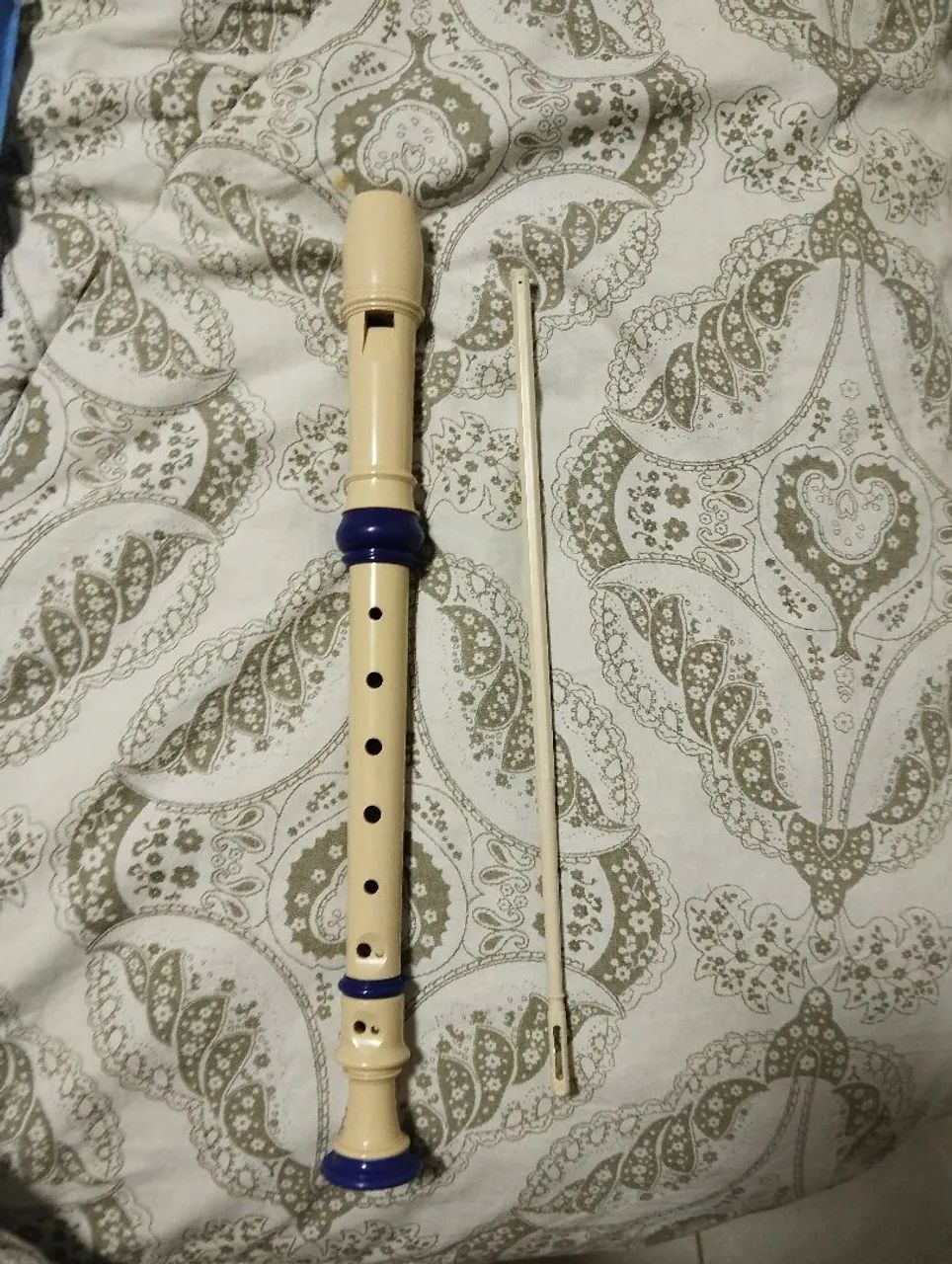 Flauta modelo SH1503/8 HOLE