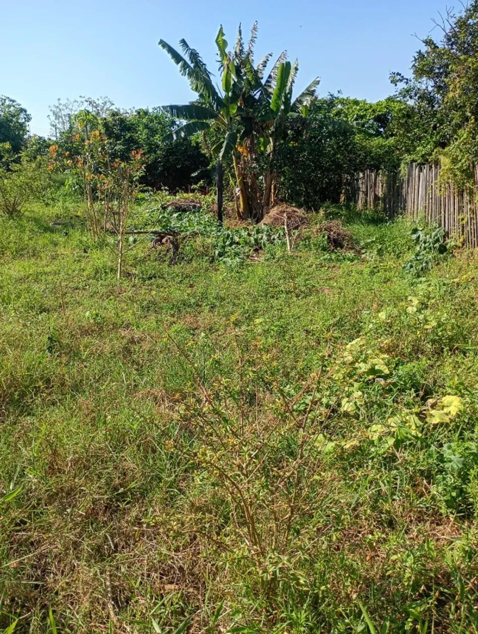 2 Terrenos Juntos a venda 600M² - Foto 4